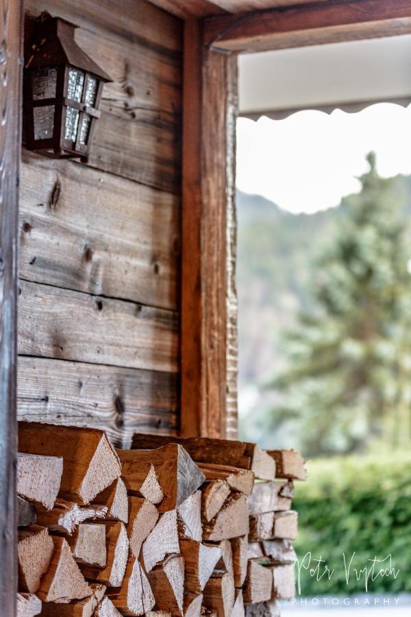 Chalet Camomille Les Gets Bagian luar foto