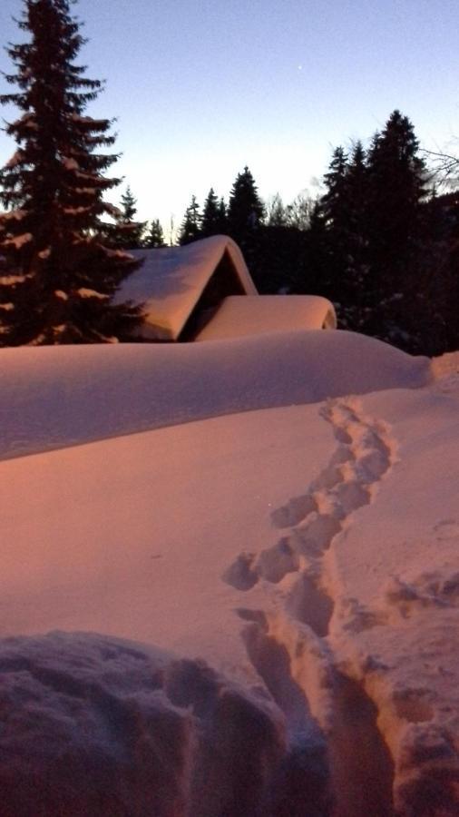 Chalet Camomille Les Gets Bagian luar foto